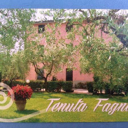 Tenuta Fagnani Lucca Pokoj fotografie