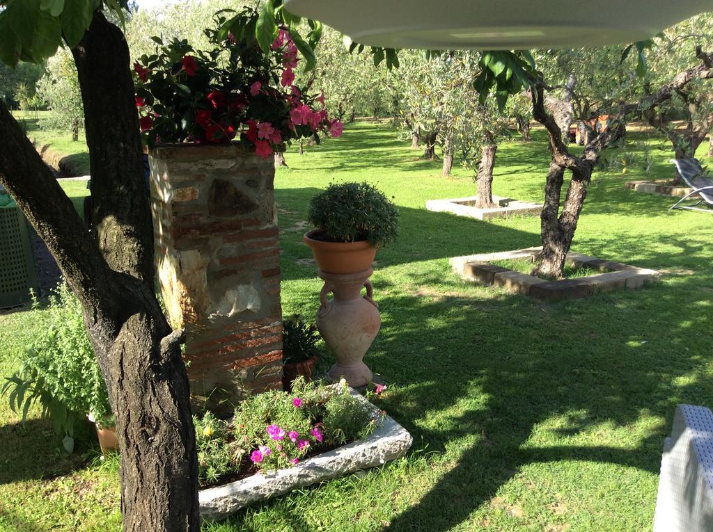 Tenuta Fagnani Lucca Exteriér fotografie